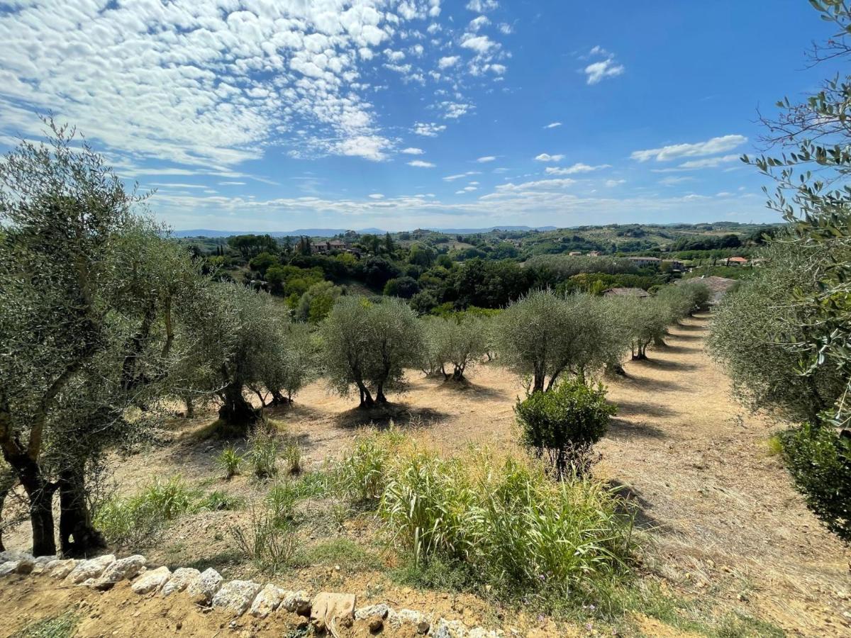 Oliveta Del Verde Appartamento Con Grande Giardino 500Mt Dal Centro เซียนา ภายนอก รูปภาพ