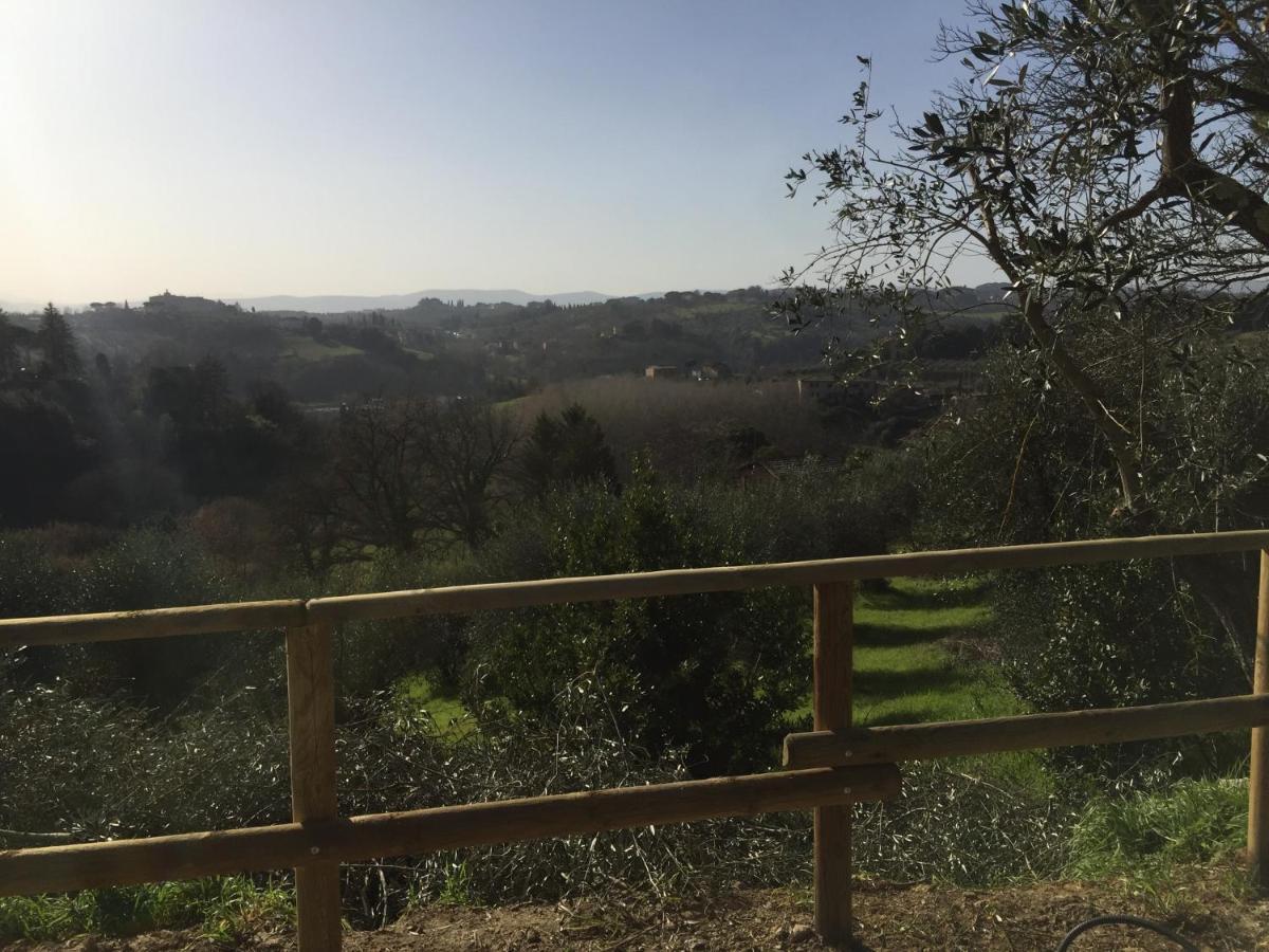 Oliveta Del Verde Appartamento Con Grande Giardino 500Mt Dal Centro เซียนา ภายนอก รูปภาพ